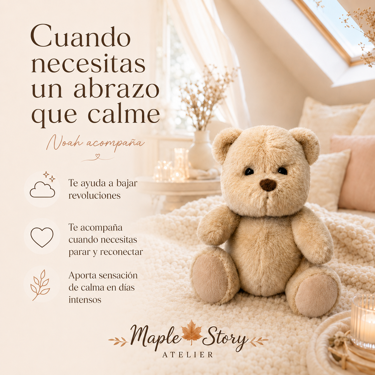 Noah & Coco: Compañeros de Ensueño